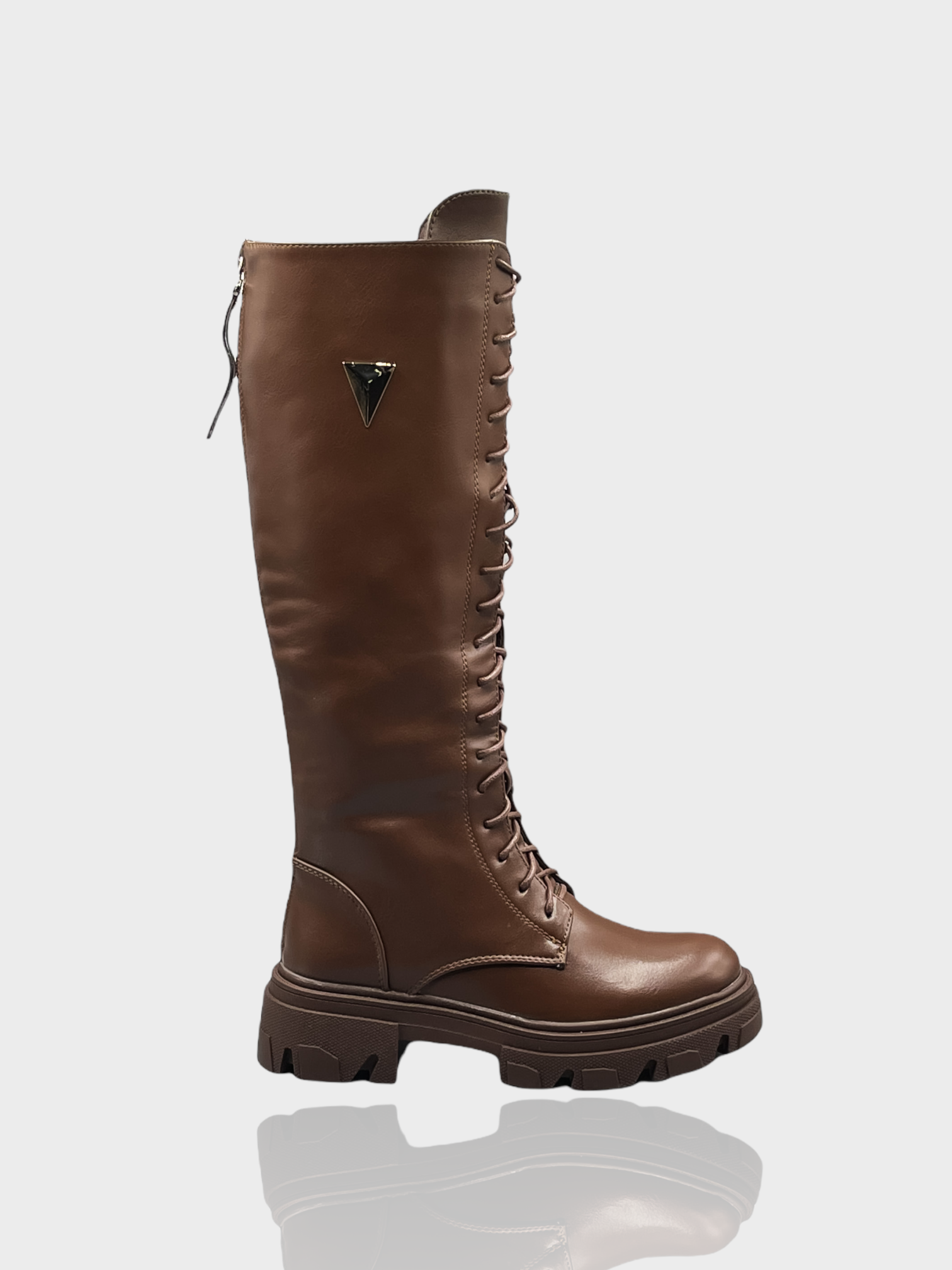 Amphibiens à cordes jordaniennes