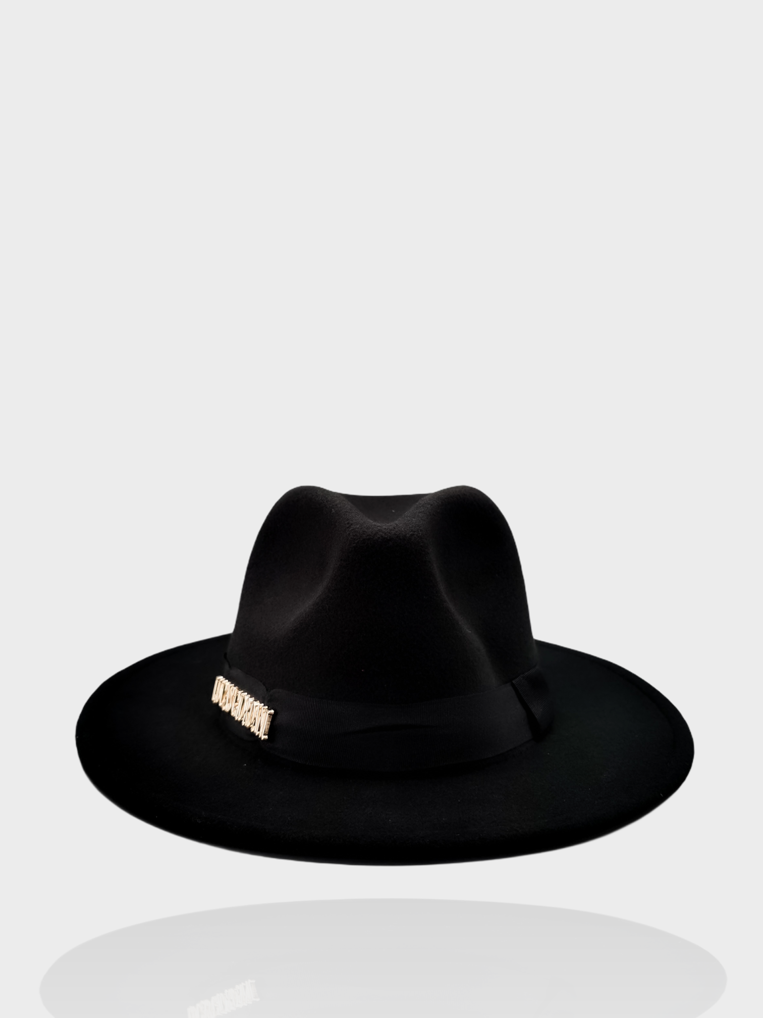 Tesa larga logo lettering